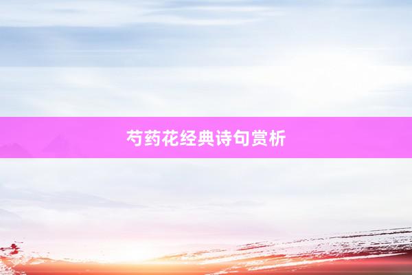 芍药花经典诗句赏析