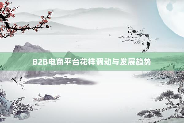 B2B电商平台花样调动与发展趋势